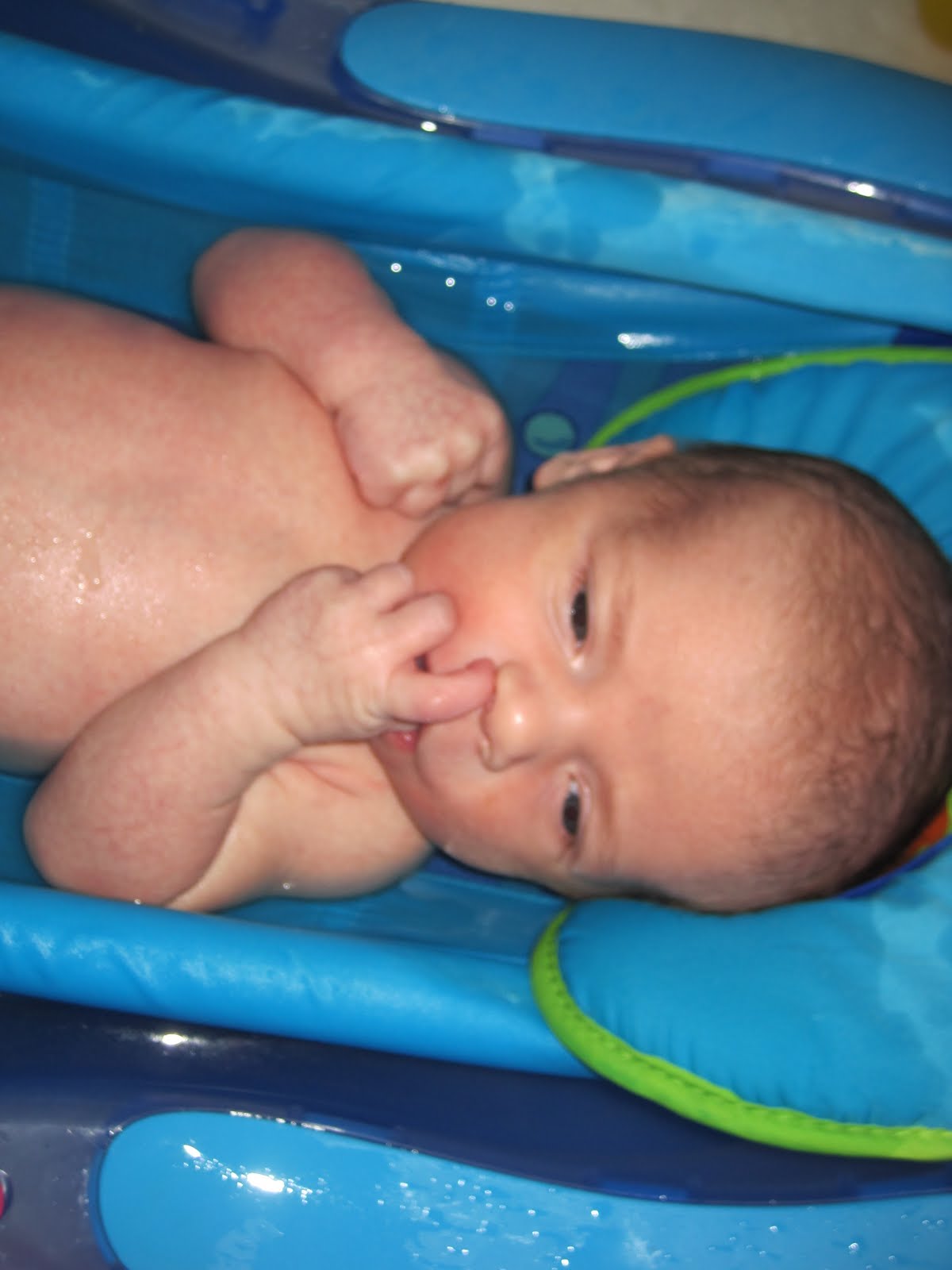 [IMG_0489[1]]