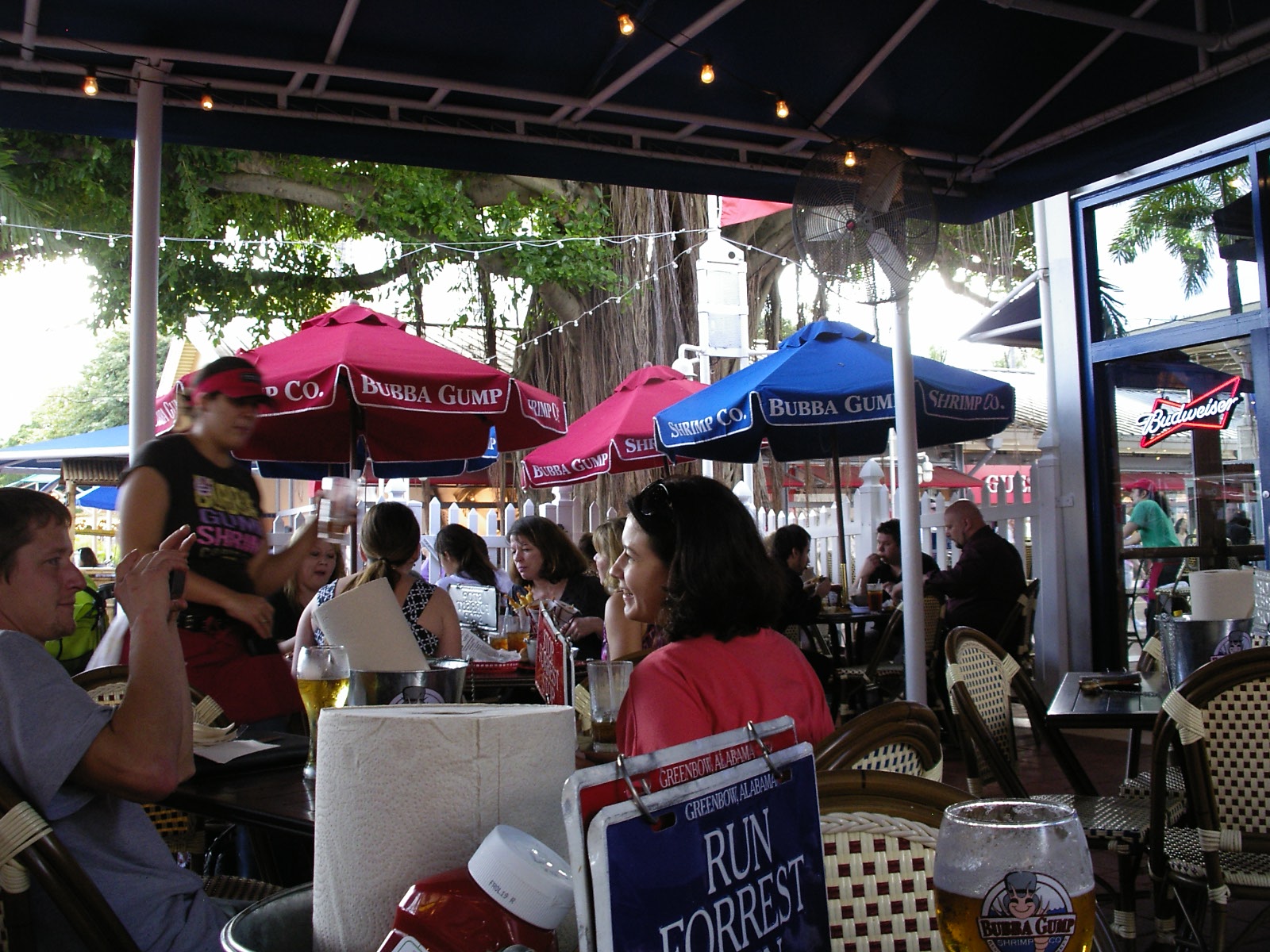 Odyssey IV CSY 33' Cocunut Grove Sailing Club, Miami, FL