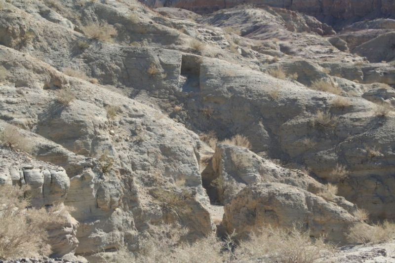 Daren Sefcik: Smoke Tree Canyon / Calcite Mine Area ABDSP