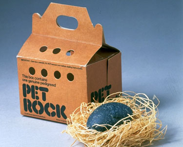 Blue Sky COLOR All The Fun Of Having A Pet. Timo Family PET ROCKS Each Box 1