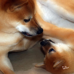 Loving Looks