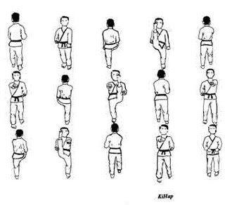 IAM: Gerakan gerakan TAEKWONDO