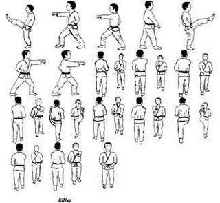 IAM: Gerakan gerakan TAEKWONDO