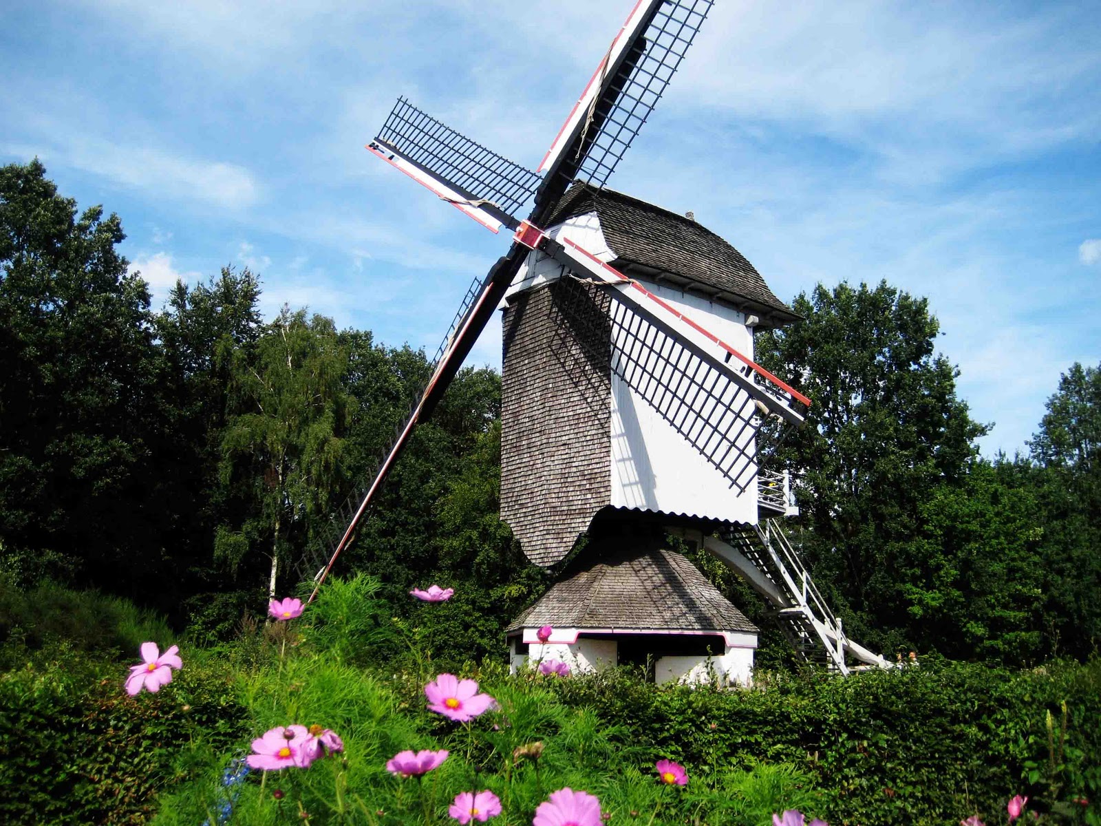 El mismo molino, 4 fotos