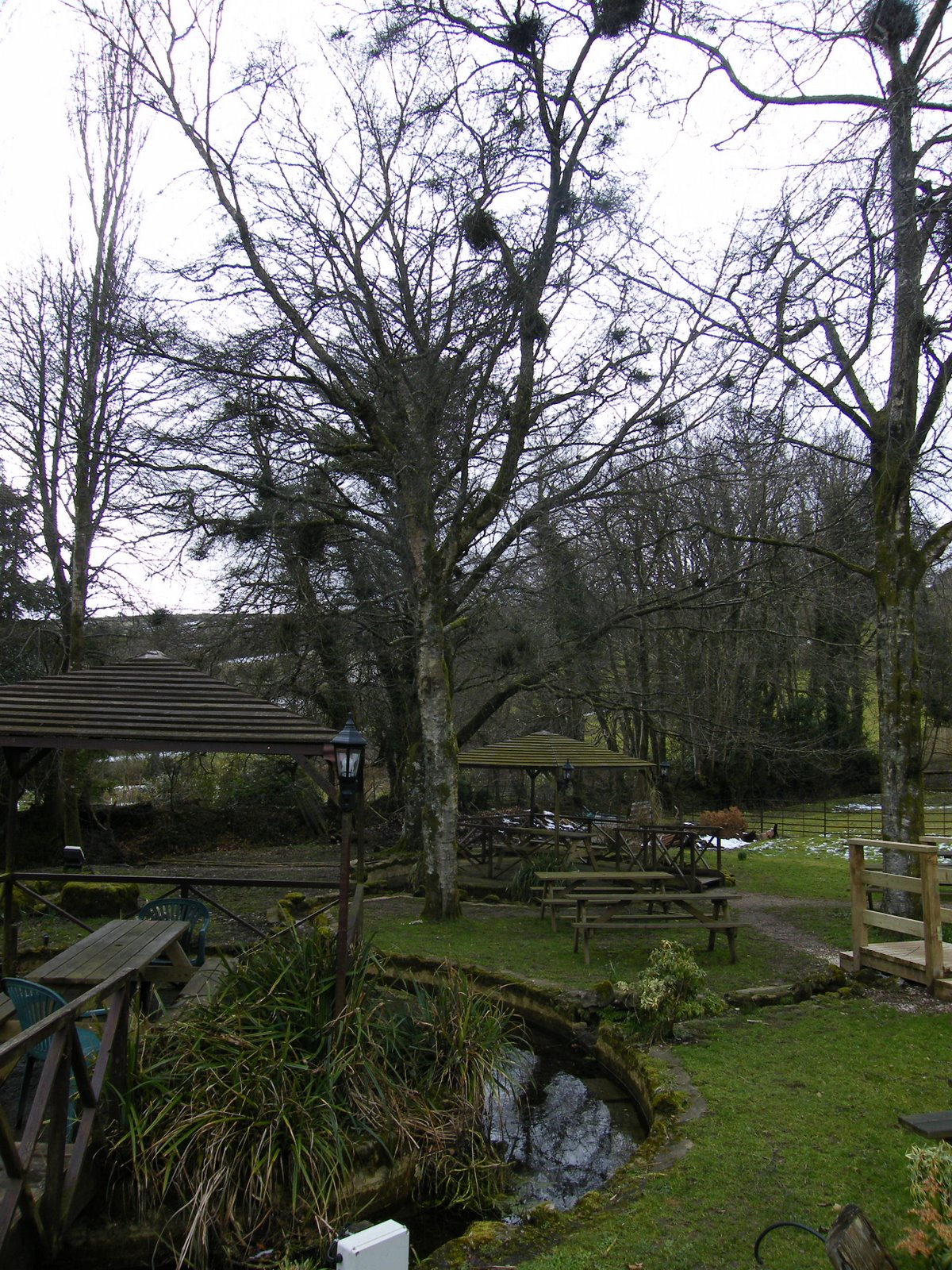 [2009_0311_England_09_0081.JPG]