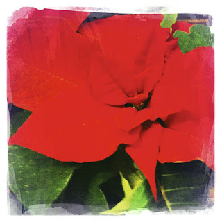 Preguntolandia Spanish for NonSpanish Speakers How do you write