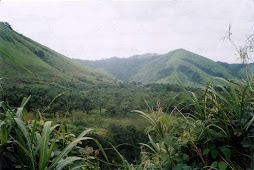 The Landscape of Cameroon