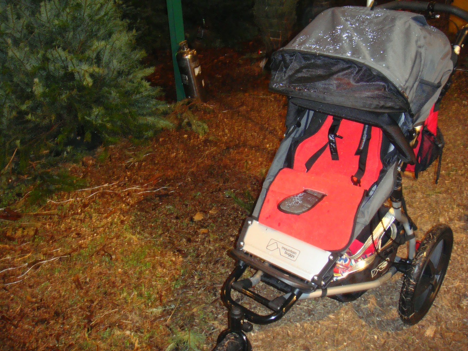 mountain buggy terrain erfahrungen