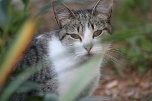 [5492b27309f13e244184bf53f1bf861006be.jpg]