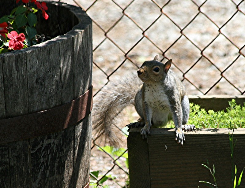 [04-30-08+043+Standard+e-mail+view.jpg]