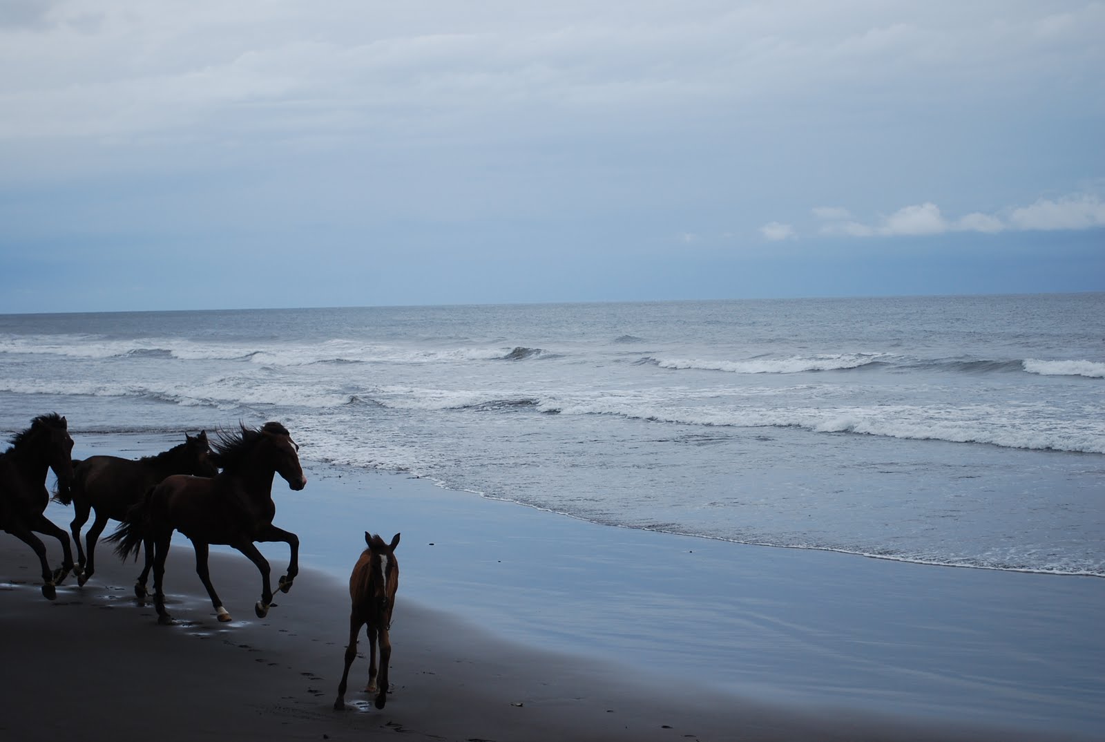 PointeNoire Vacances Cameroun, la plage de Limbé