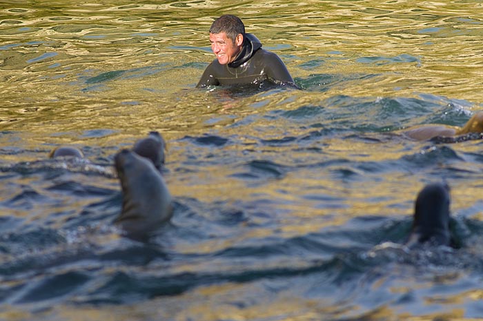 Patagonia Adventure in Puerto Piramides - Patagonia Argentina Patagonia Adventure Sea Lions Dive in Peninsula Valdes Patagonia Argentina