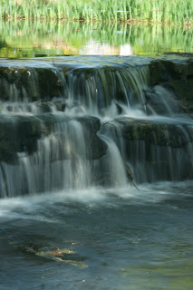 Grounds for Sculpture at Hamilton, New Jersey by lawhawk 2007