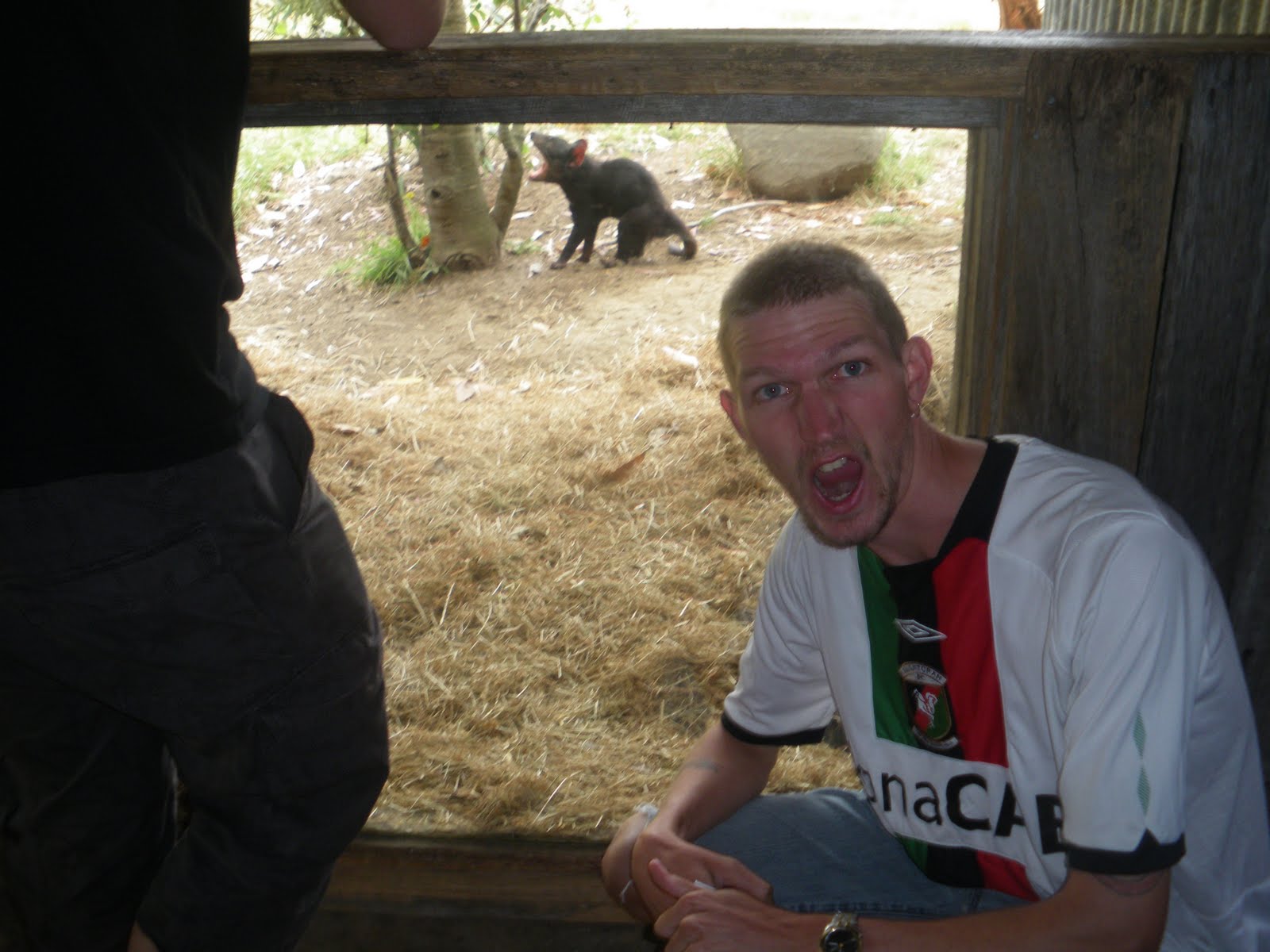 Backpacking in Australia: Visiting the Tasmanian Devil Conservation