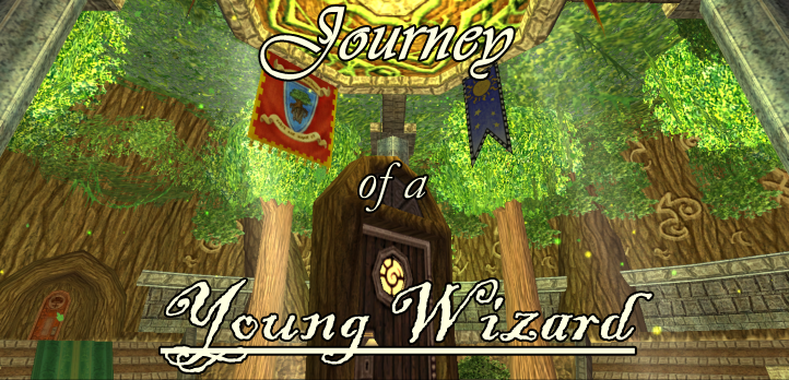 The Journey of a Young Wizard