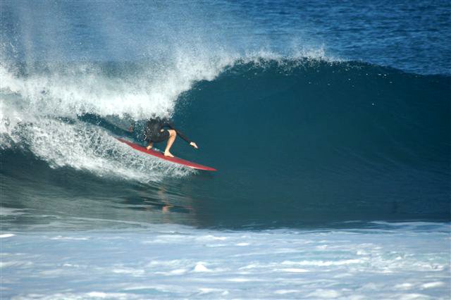 [Tudor+photo+Hootski]