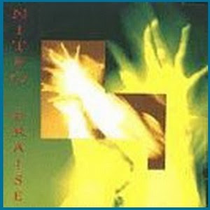 Capa de Nitro Praise 1