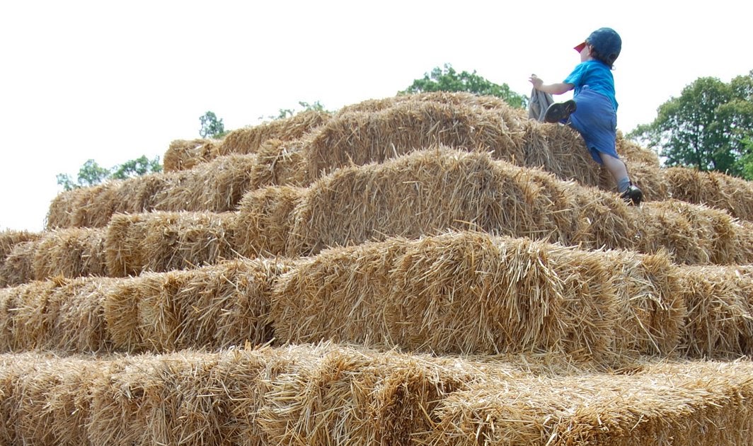 lookout-farm-sales-training