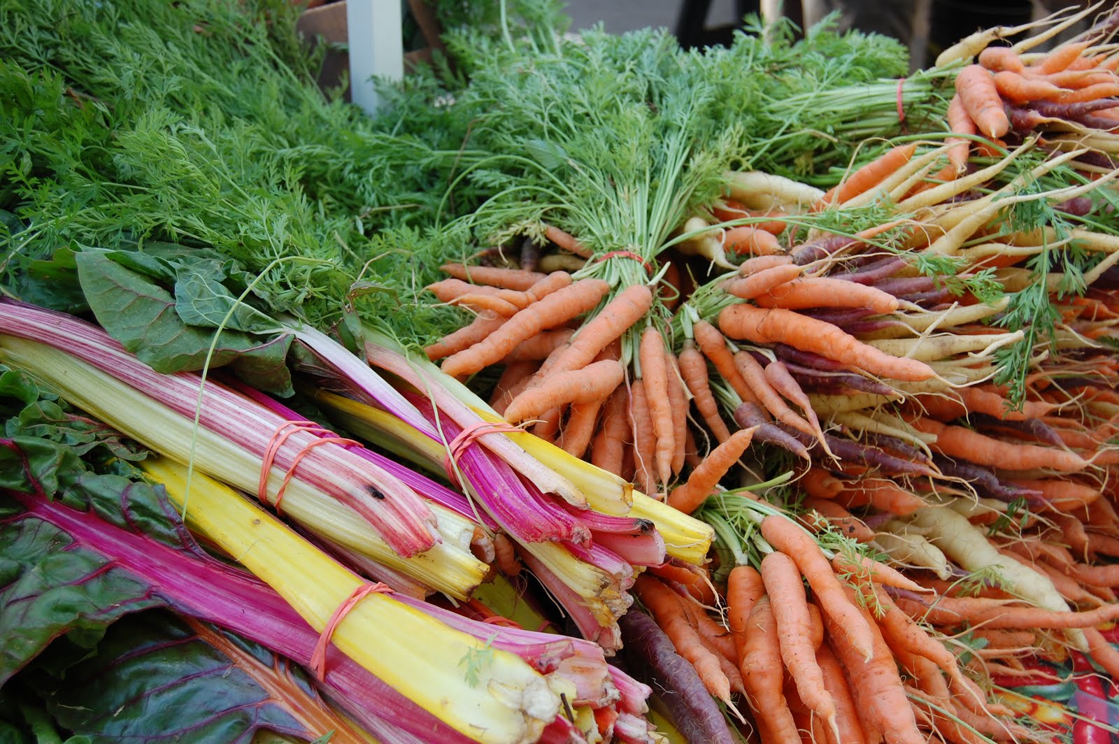 foodiemommy-late-june-at-the-union-square-greenmarket-new-york-city