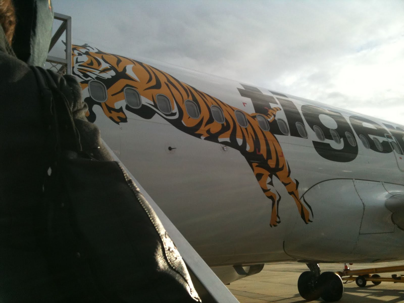 Wild about Travel: Flying Tiger