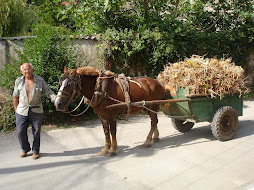 El trabajo del campo, una tarea diaria...