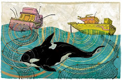 orca whale fishing killer cartoon nets boats orcinus boat