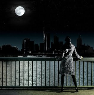 [post-4464-1144033701.jpg]