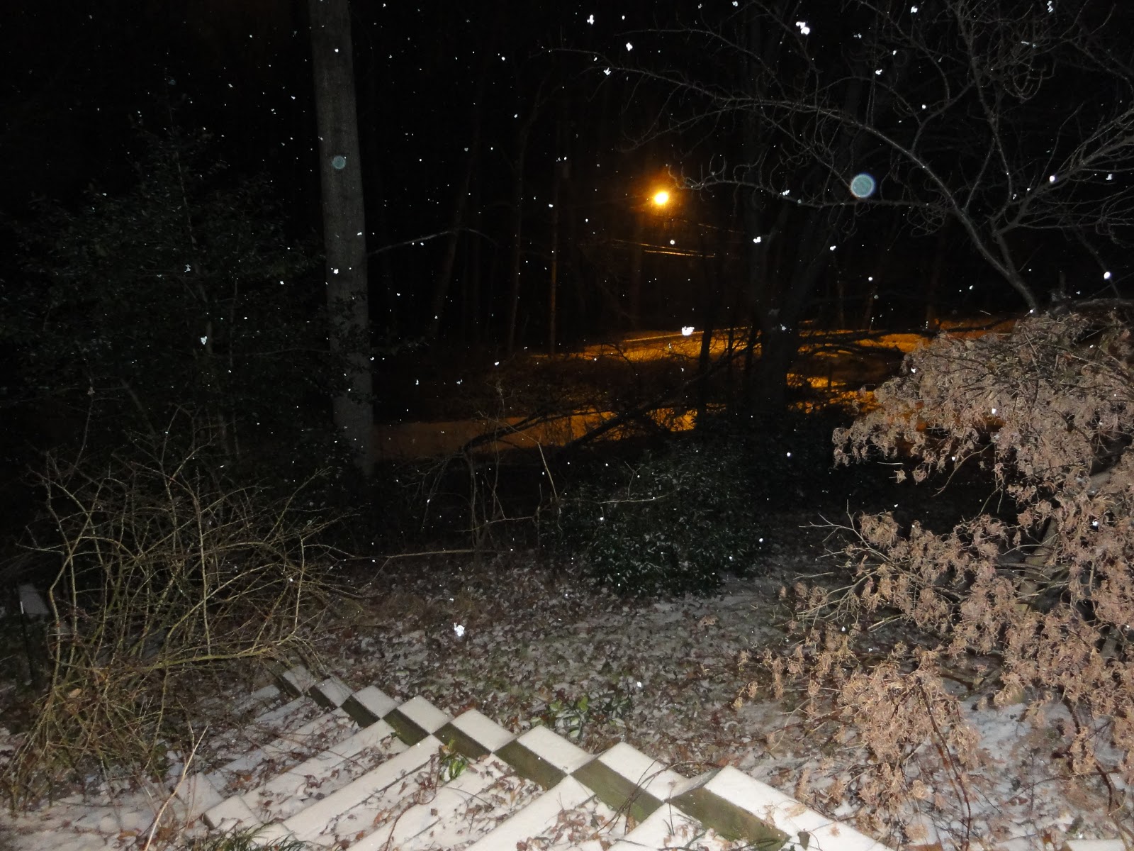 The Capital Region Pulse Icy Conditions Impacting Area (LIVE Posting)