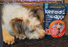 We are proud to be supported by Joint Aid for Dogs