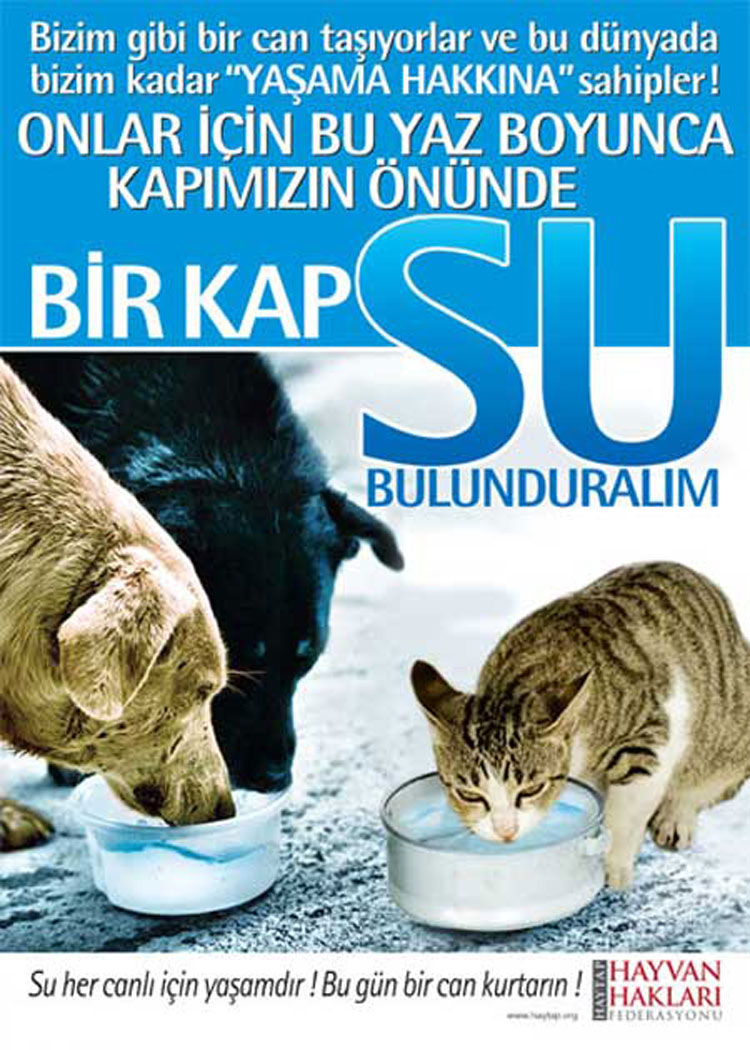 Yiyecek artıkları nasıl değerlendirilmeli? Bu konudaki kendinize has