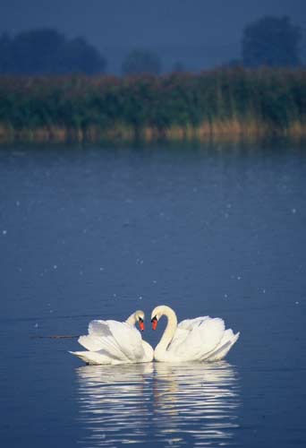 [4258_Kopia+Kopia+26.jpg]