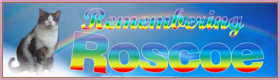 Remembering Roscoe