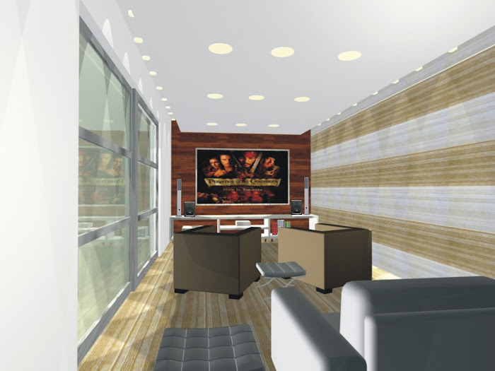 Professional Practice in Brazil