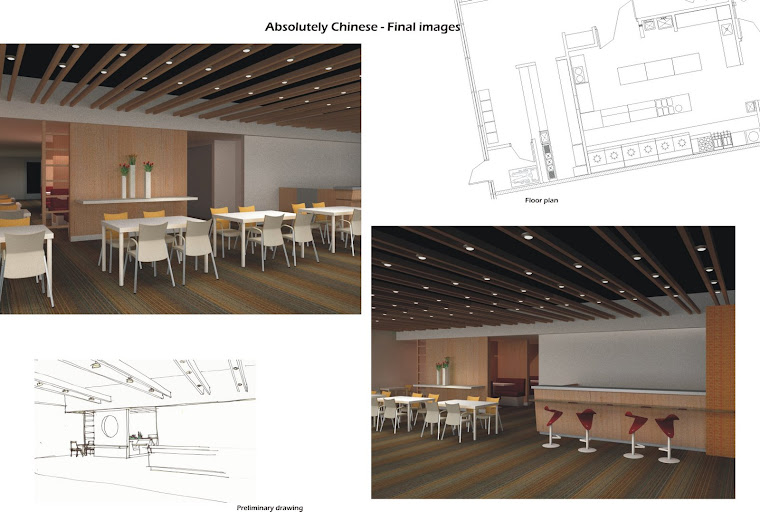 Professional Practice in Chicago