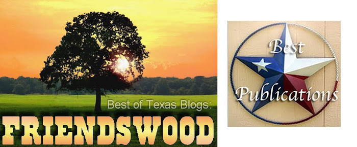 Best of Texas Blogs: Friendswood