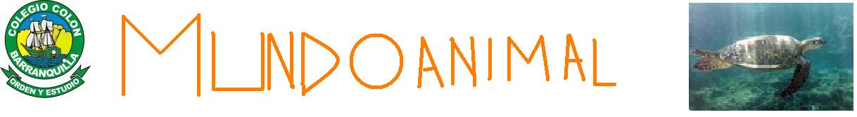 mundo animal