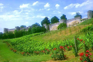 The Lord is My Banner: The Song of the Vineyard : Isaiah 5:1-7