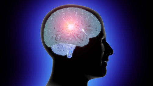 [Brain+and+Consciousness.bmp]