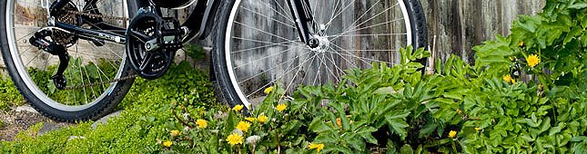 Reykjavik Bike Tour