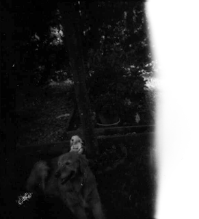 Inez lying in the shade, with an artifact of light subracting some of the film.