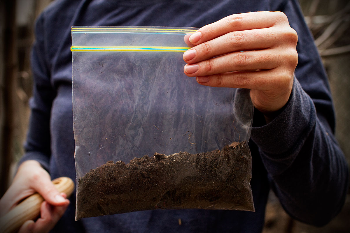 Brooklyn Farm Soil Testing