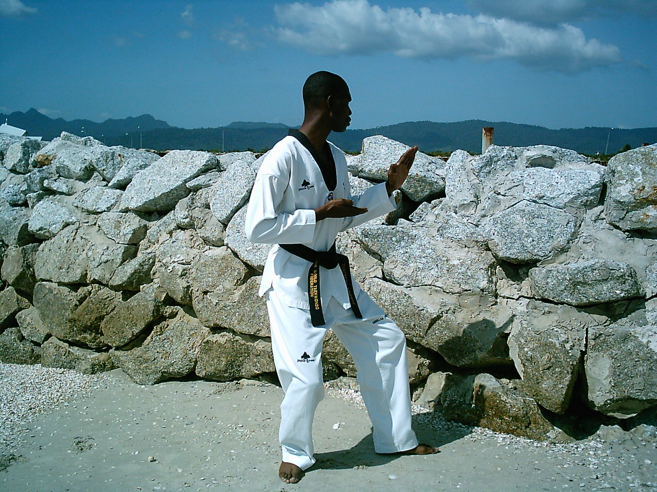 Makevelli Taekwondo: ﻿Jitae Poomsae