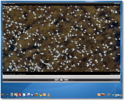 vlc screenshot vlc screenshot