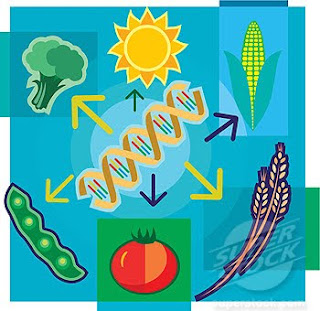 fda nonsensical disadvantages