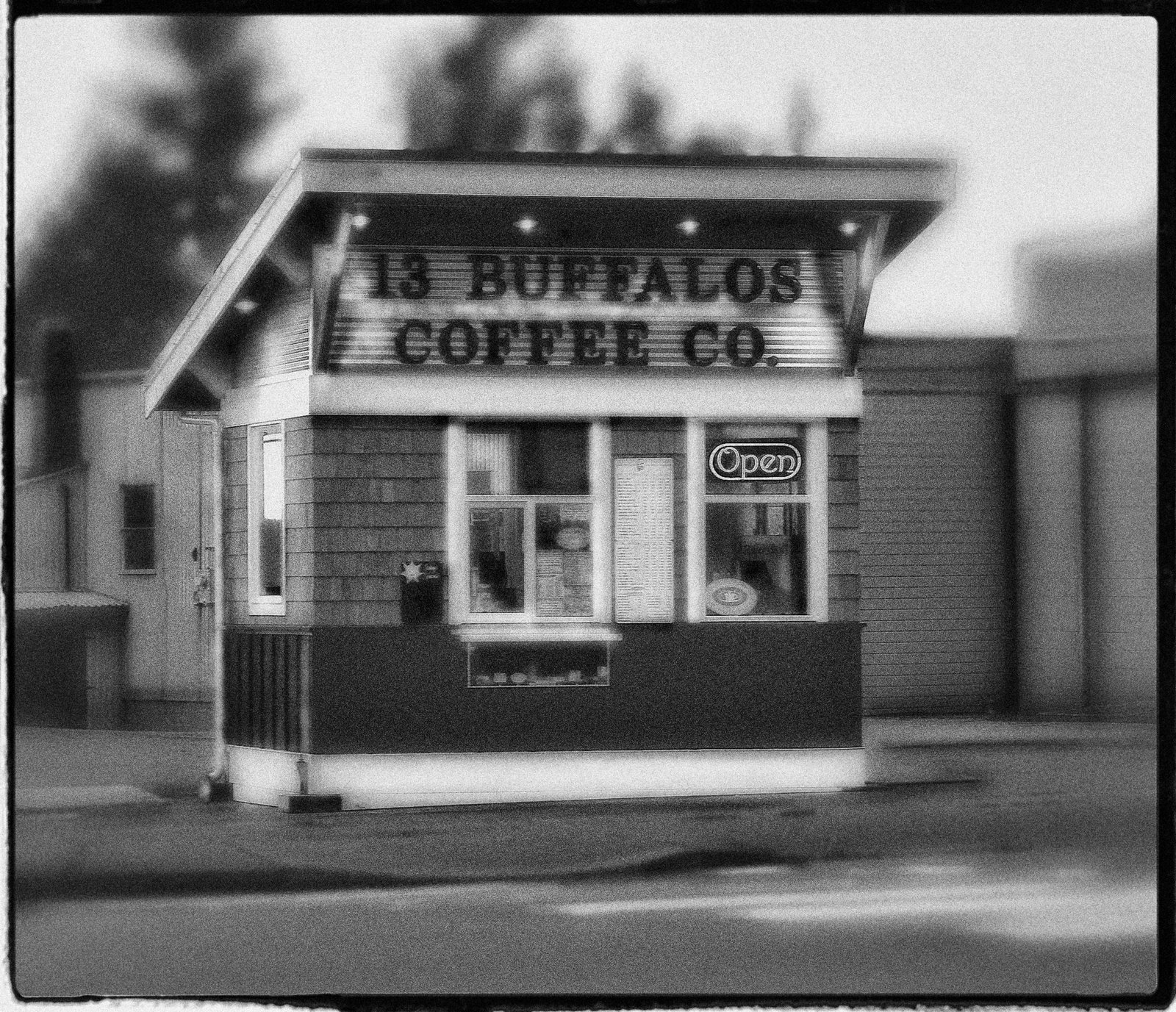 [13+buffalos+crop+final+bright.jpg]