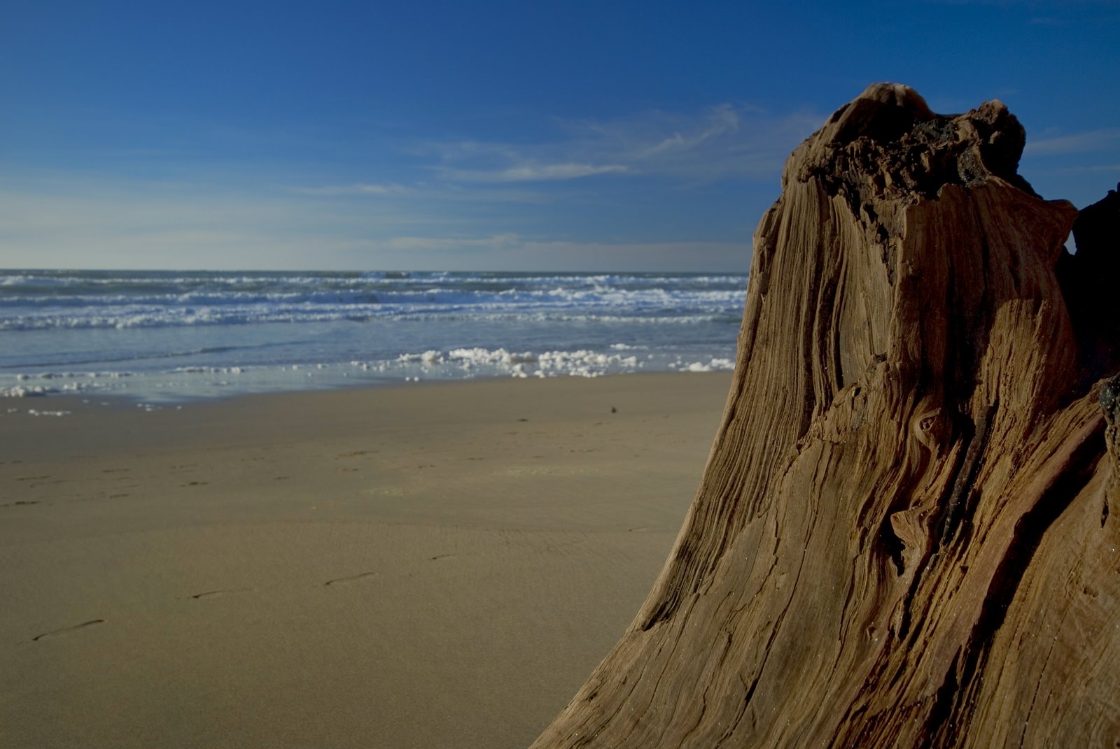 [cali+coast-0143+copy+copy.jpg]