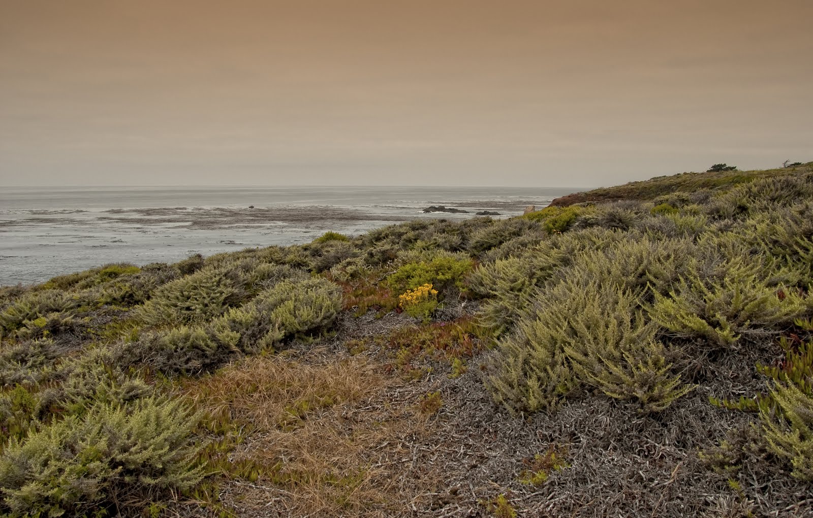 [big+sur+grad+(1+of+1).jpg]