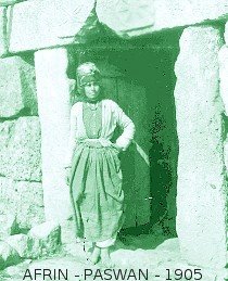 The kurdish girl of Paswan - Afrin