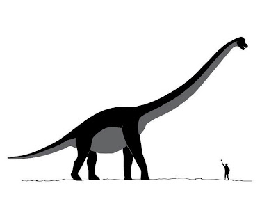 Comparativa tamaño Sauroposeidon - hombre