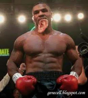 geNeceLL: miKe TySon iN maLaysiA